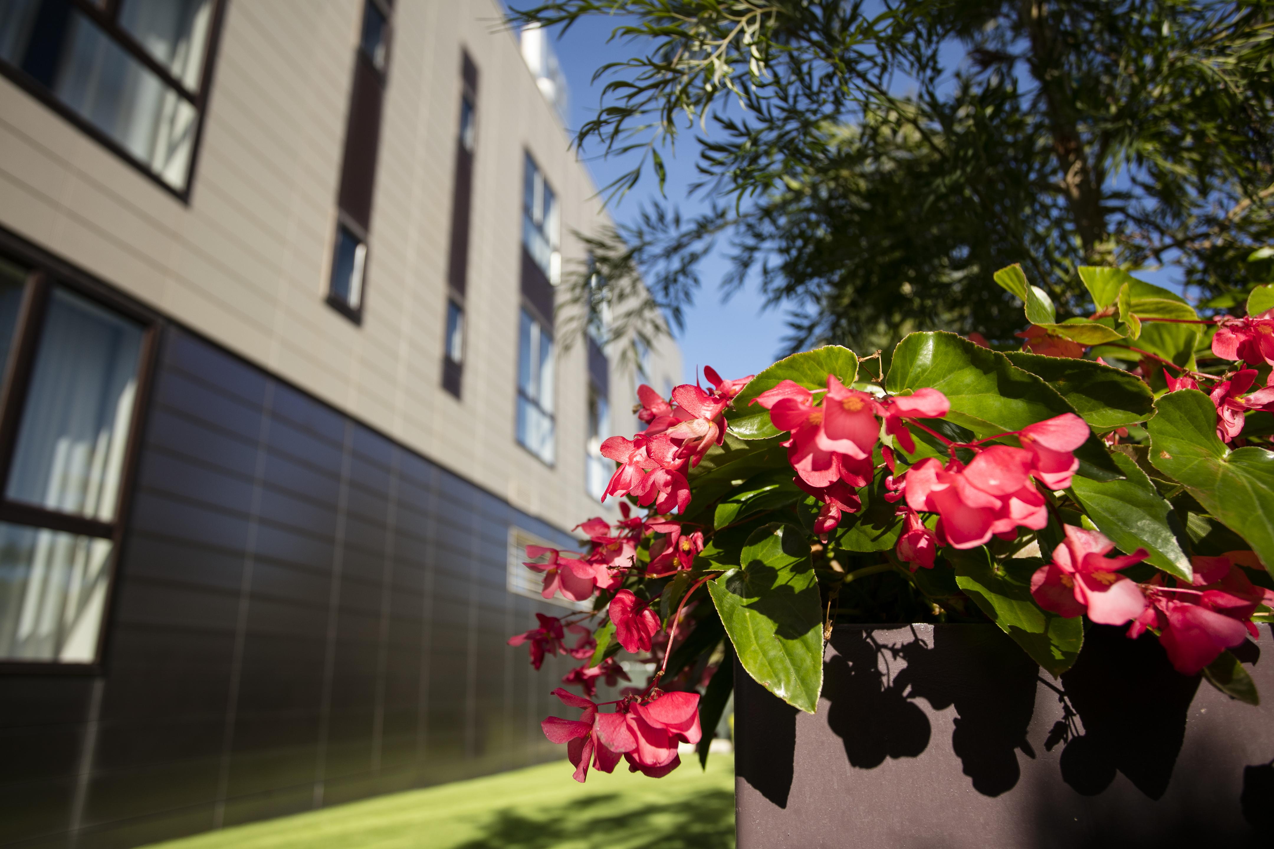 Hotel Desitges Bagian luar foto